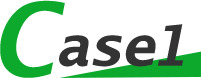 case1